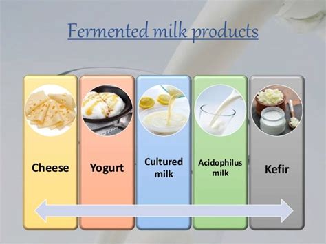 Yogurt Simulator 2042:  A Delicious Journey into the World of Fermented Dairy Products!